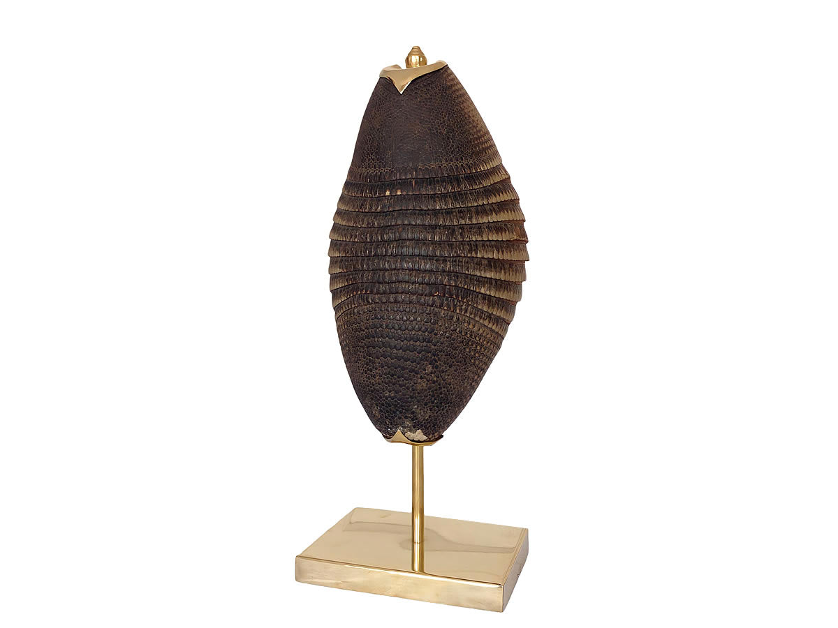 Lampara de mesa. Armadillo. 1950